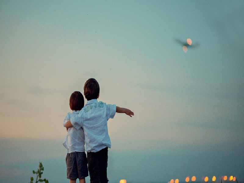 试管蚁后吃什么(日本未婚可以试管)